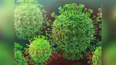 Covid-19 Herd Immunity: इन दो तरीकों से विकसित होती है हर्ड इम्युनिटी, देश की स्थिति पर स्वास्थ्य मंत्रालय ने कही यह बात