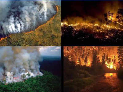 ब्राजील: ऐमेजन में आग लगने की घटनाएं जुलाई में 28% तक बढ़ी, एक्सपर्ट चिंतित