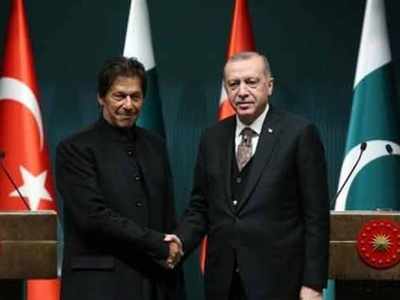 तुर्की ने कश्मीर पर फिर किया पाक का समर्थन, भारत विरोधी गतिविधियों का बना केंद्र