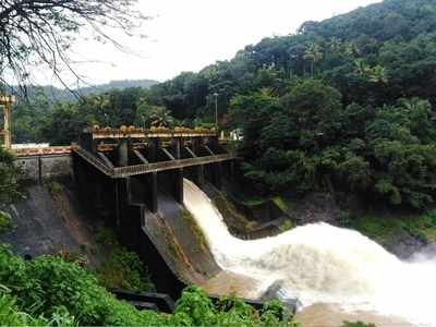 കനത്ത മഴ: ദുരന്ത സാധ്യതാ പ്രദേശത്തുള്ളവരെ ഉടന്‍ മാറ്റിപ്പാര്‍പ്പിക്കും, കല്ലാര്‍കുട്ടി, പാംബ്ലാ അണക്കെട്ടുകൾ തുറന്നു