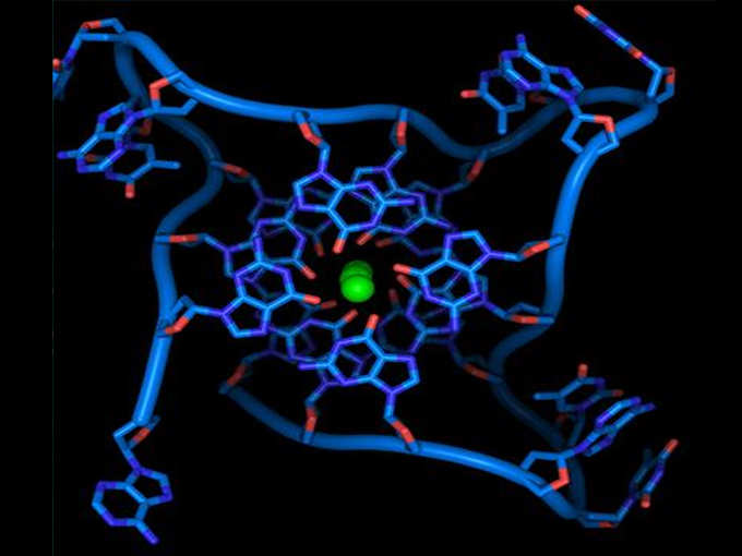 ऐसे बनता है यह खास DNA