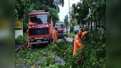 മലപ്പുറത്ത് കനത്ത മഴ; നിരവധി മരങ്ങള്‍ കടപുഴകി വീണു