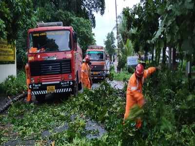 മലപ്പുറത്ത് കനത്ത മഴ; നിരവധി മരങ്ങള്‍ കടപുഴകി വീണു