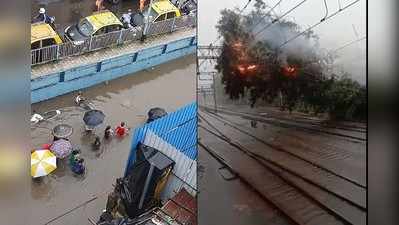 Mumbai Rain: मुंबईत वादळी वाऱ्यासह तुफान पाऊस, ओव्हरहेड वायरवर झाड कोसळलं