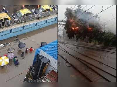 Mumbai Rain: मुंबईत वादळी वाऱ्यासह तुफान पाऊस, ओव्हरहेड वायरवर झाड कोसळलं