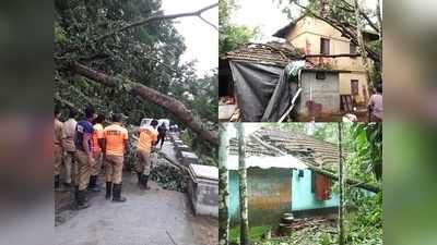 പാലക്കാട്ട് നാശംവിതച്ച് കാറ്റും മഴയും.. വൈദ്യുതി ലൈനുകള്‍ പൊട്ടി വീണു, കെഎസ്ഇബിക്ക് ലക്ഷങ്ങളുടെ നഷ്ടം!