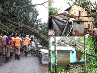 പാലക്കാട്ട് നാശംവിതച്ച് കാറ്റും മഴയും.. വൈദ്യുതി ലൈനുകള്‍ പൊട്ടി വീണു, കെഎസ്ഇബിക്ക് ലക്ഷങ്ങളുടെ നഷ്ടം!