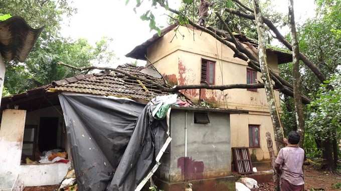 ​അട്ടപ്പാടിയില്‍ ഒരുകോടിയുടെ കൃഷിനാശം