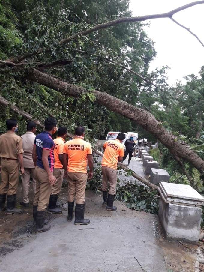 ​നെല്ലിയാമ്പതി ഇരുട്ടില്‍