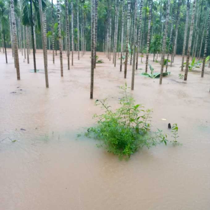 ​ಮಲೆನಾಡು ಈಗ ಮಳೆನಾಡು