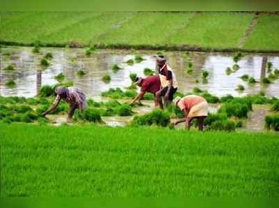 రైతులకు కేంద్రం శుభవార్త... పావులా వడ్డీకే చౌక రుణాలు!