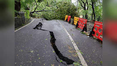 mumbai rain : पावसाचा फटका, मुंबईत पेडररोडवर ५० झाडे उन्मळून पडली; उड्डाणपूल बंद