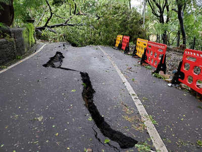 mumbai rain : पावसाचा फटका, मुंबईत पेडररोडवर ५० झाडे उन्मळून पडली; उड्डाणपूल बंद