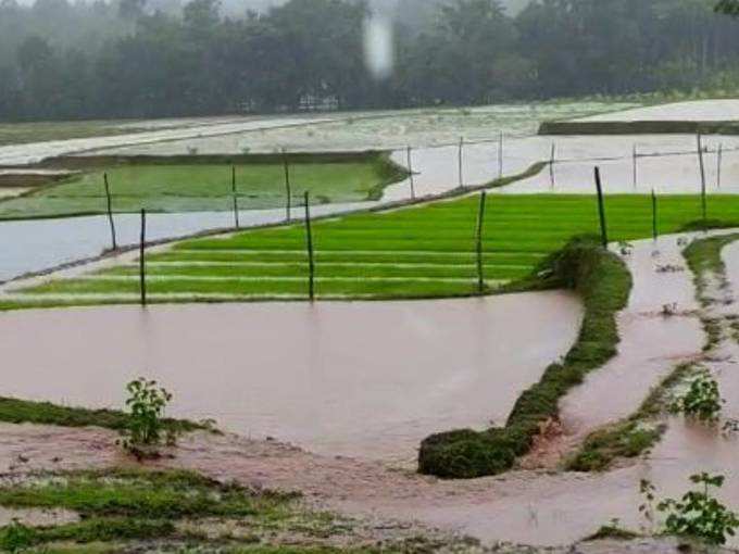 ಅನ್ನದಾತನ ಮೇಲೆ ವರುಣನ ಮುನಿಸು