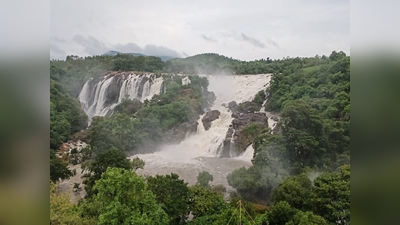 ಚಾಮರಾಜನಗರ: ಆಶ್ಲೇಷ ಆರ್ಭಟಕ್ಕೆ ಮೈದುಂಬಿಕೊಂಡ ಭರಚುಕ್ಕಿ ಜಲಪಾತ..!