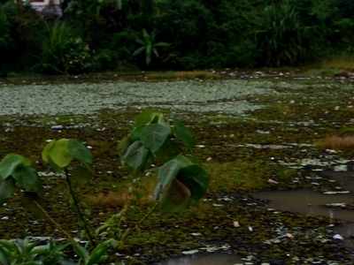 സംഭരണ ശേഷി മൂന്നിലൊന്നായി കുറഞ്ഞ് അരുവിക്കര ഡാം