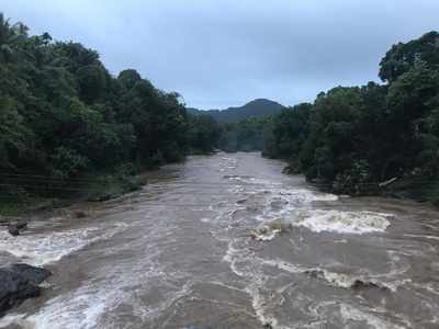 മലയോരത്തു കനത്ത മഴ, പുഴകളില്‍ ജലനിരപ്പ് ഉയര്‍ന്നു; കോഴിക്കോട് അതീവ ജാഗ്രതയിൽ