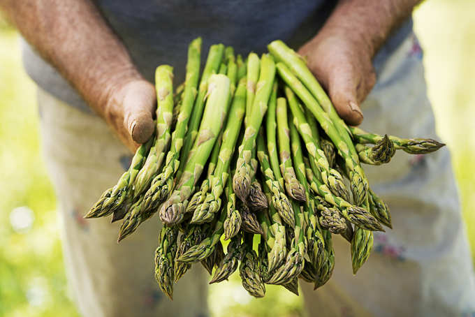 ​ಶತಾವರಿಯ ಹಣ್ಣು (Asparagus berry)