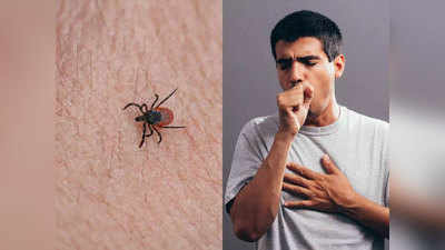 Tick Borne Virus: चीन में फिर फैला 11 साल पुराना वायरस, 7 मौत