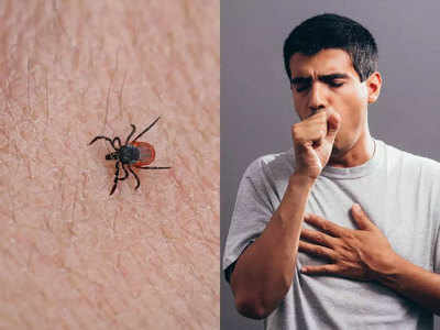 Tick Borne Virus: चीन में फिर फैला 11 साल पुराना वायरस, 7 मौत