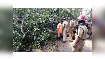 ചുഴലിക്കാറ്റിനെത്തുടർന്ന് വീയപുരത്തും ചെറുതനയിലും വ്യാപക നാശം