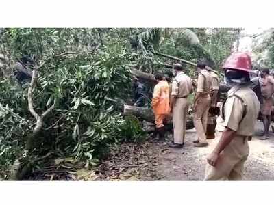 ചുഴലിക്കാറ്റിനെത്തുടർന്ന് വീയപുരത്തും ചെറുതനയിലും വ്യാപക നാശം