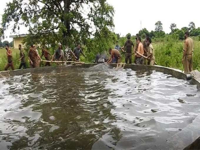 জল পড়ল ছোট্ট হাতি