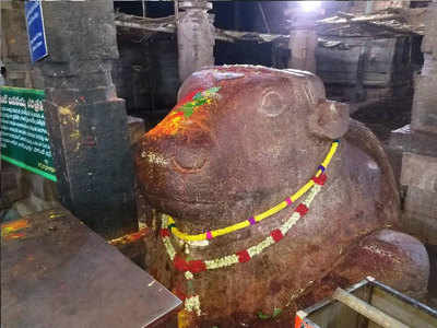 Yaganti Temple History in Marathi या शिवमंदिरातील नंदीचा आकार दररोज वाढतो? वाचा, यामागील रहस्य