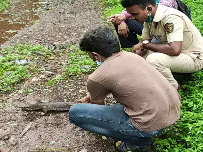 जांच के बाद जंगल में छोड़ी गई