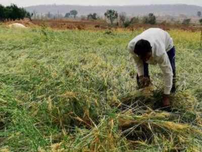 पीककर्ज वितरणासाठी भाजपचे ठिय्या आंदोलन