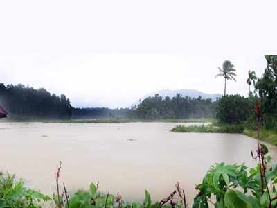 കാലവര്‍ഷം കനക്കുന്നു; വയനാട്ടിലെ നഷ്ടക്കണക്ക് ഇങ്ങനെ