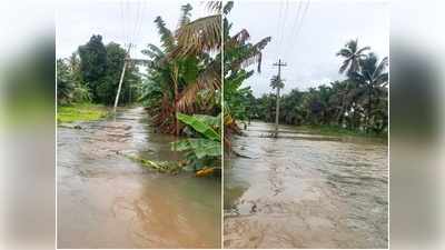 പമ്പയും അച്ചൻകോവിലും കരകവിഞ്ഞു; ചെറുതനയിൽ 75 ഓളം കുടുംബങ്ങൾ ഒറ്റപ്പെട്ടു: മാറ്റിപാർപ്പിച്ചില്ലെന്ന് ആരോപണം