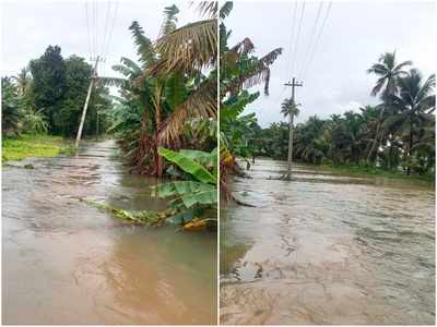 പമ്പയും അച്ചൻകോവിലും കരകവിഞ്ഞു; ചെറുതനയിൽ 75 ഓളം കുടുംബങ്ങൾ ഒറ്റപ്പെട്ടു: മാറ്റിപാർപ്പിച്ചില്ലെന്ന് ആരോപണം