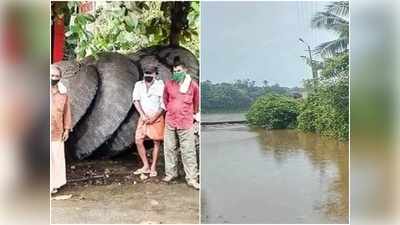 രക്ഷാപ്രവർത്തനത്തിന് തയ്യാറായി എന്‍ഡിആര്‍എഫ് സംഘവും കുട്ടവഞ്ചികളും; കനത്ത ജാഗ്രത തുടരുന്നു