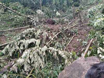 മഴക്കെടുതി; ഇടുക്കിയില്‍ 173.64 കോടി രൂപയുടെ കൃഷി നാശം