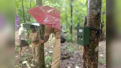 പുലിപ്പേടിയില്‍ പൊതുവപ്പാടം! ക്യാമറ സ്ഥാപിച്ച് നിരീക്ഷണം തുടങ്ങി