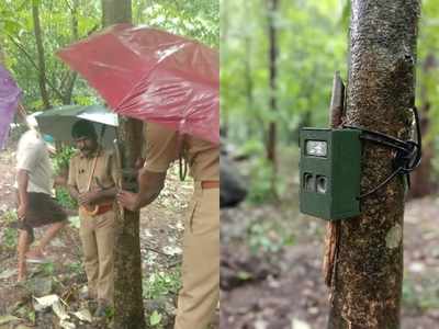 പുലിപ്പേടിയില്‍ പൊതുവപ്പാടം! ക്യാമറ സ്ഥാപിച്ച് നിരീക്ഷണം തുടങ്ങി