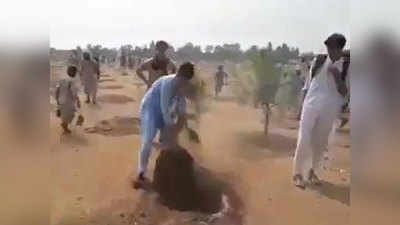 इमरान के वृक्षारोपण अभियान की शुरुआत के बाद वायरल हुआ पाकिस्तानी लोगों के पौधे उखाड़ने का ये VIDEO