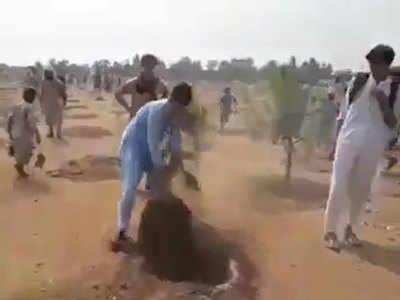 इमरान के वृक्षारोपण अभियान की शुरुआत के बाद वायरल हुआ पाकिस्तानी लोगों के पौधे उखाड़ने का ये VIDEO