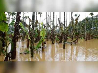 വയനാട്ടിലെ കര്‍ഷകര്‍ക്ക് ഇരുട്ടടിയായി കാലവര്‍ഷം; കാര്‍ഷിക മേഖലയില്‍ 14.18 കോടി രൂപയുടെ നഷ്ടം!