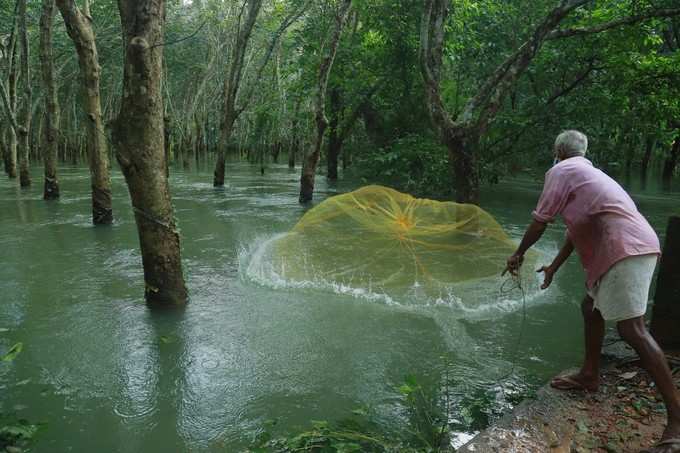 Heavy Rain in Kottayam