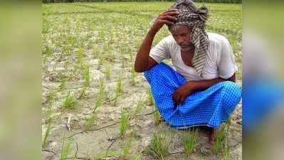 Jharkhand Weather Update :  झारखंड में सामान्य से 14 फीसदी कम बारिश, 10 जिलों की स्थिति चिंताजनक