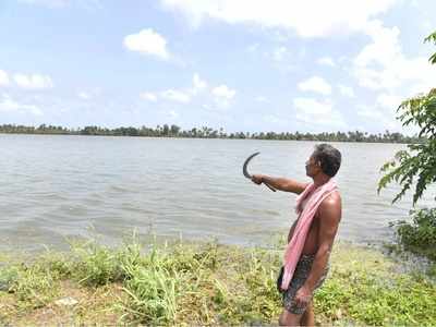 കനത്ത മഴയിൽ ജില്ലയിൽ വൻ നാശം; കാര്‍ഷിക മേഖലയില്‍ 74.79 കോടി രൂപയുടെ നഷ്ടം