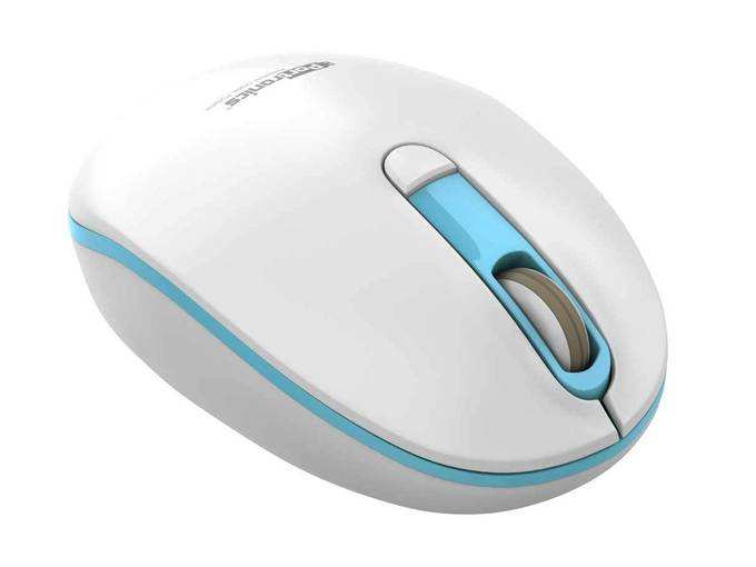 Portronics POR-015 Toad 11 Wireless Mouse with 2.4GHz Technology (Blue)