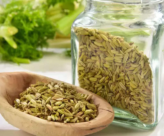 Fennel Seeds