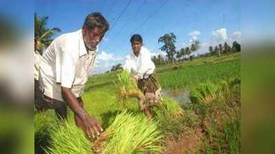 ಬೆಳೆ ಮಾಹಿತಿ ನೀಡದ ರೈತರ ಸವಲತ್ತುಗಳಿಗೆ ಕತ್ತರಿ: ಬೆಳೆ ಸಮೀಕ್ಷೆ ಯೋಜನೆಯ ಕಂಪ್ಲೀಟ್ ಡಿಟೇಲ್ಸ್ ಇಲ್ಲಿದೆ