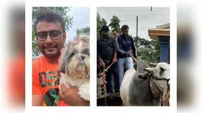 Darshan: ಎತ್ತಿನ ಗಾಡಿ ಏರಿ ಬಂದ ಡಿ ಬಾಸ್‌! ಧಾರವಾಡದಲ್ಲಿ ಚಾಲೆಂಜಿಂಗ್ ಸ್ಟಾರ್ ದರ್ಶನ್‌