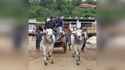 ಧಾರವಾಡದಲ್ಲಿ  ಚಕ್ಕಡಿ ಓಡಿಸಿದ ನಟ ದರ್ಶನ್‌ !