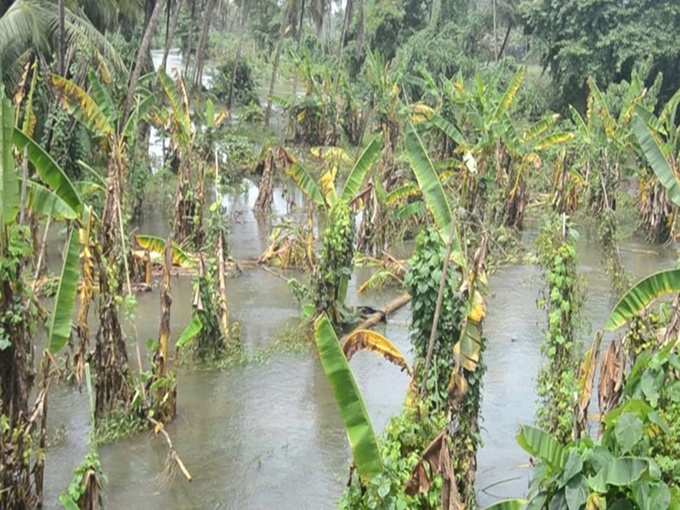 കര്‍ഷകര്‍ക്ക് ഇരുട്ടടി