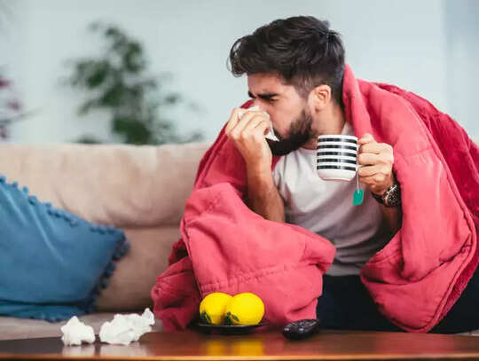 Drumsticks Health Benefits,ನುಗ್ಗೆಕಾಯಿಯಲ್ಲಿದೆ ಇಷ್ಟೆಲ್ಲಾ ಆರೋಗ್ಯ ಗುಟ್ಟು! - 6 unbelievable health benefits from drumstick - Vijay Karnataka